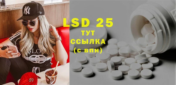 шишки Баксан