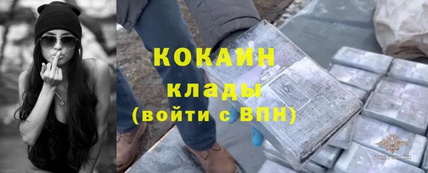 шишки Баксан