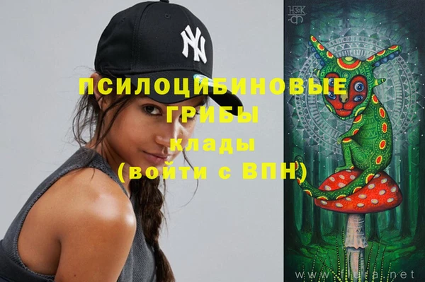 твердый Балахна