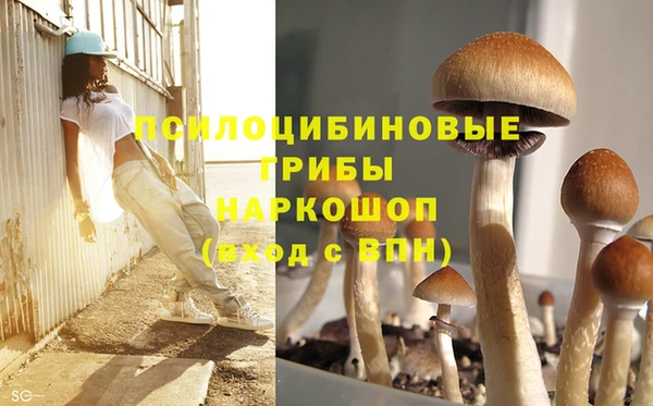 шишки Баксан