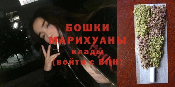шишки Баксан