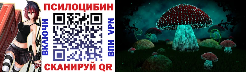Псилоцибиновые грибы Cubensis  Гаврилов-Ям 
